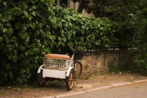 Charming vintage bicycle with basket against lush green ivy wall in Heybeliada, İstanbul.